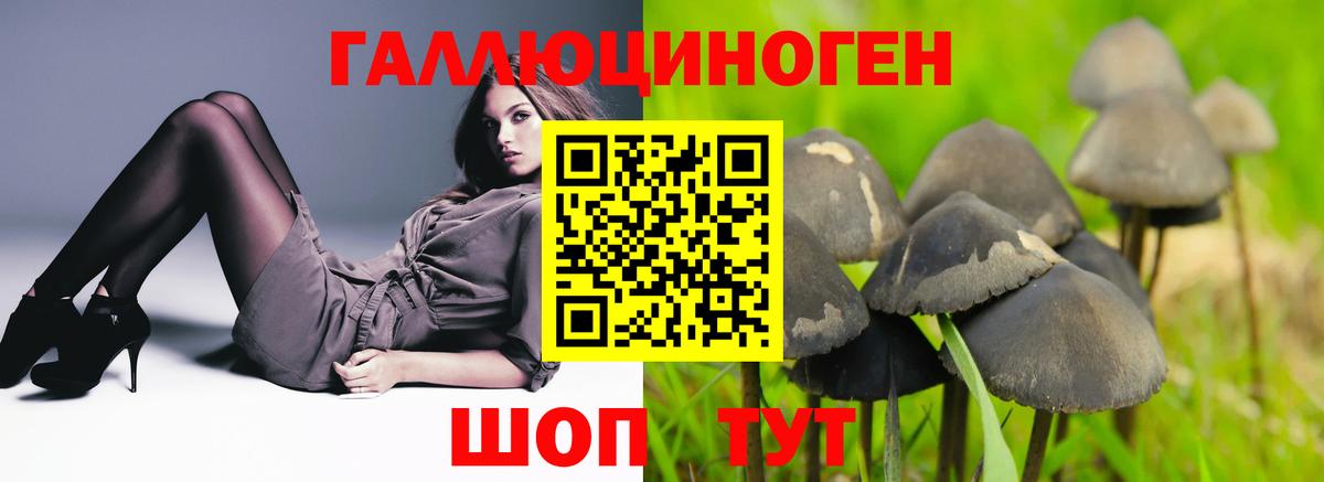 Лабинск  Галлюциногенные грибы прущие грибы  Вход с VPN 